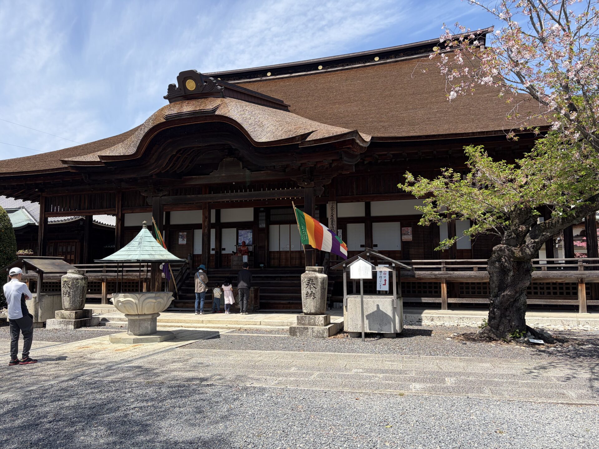 藤の花見てきました